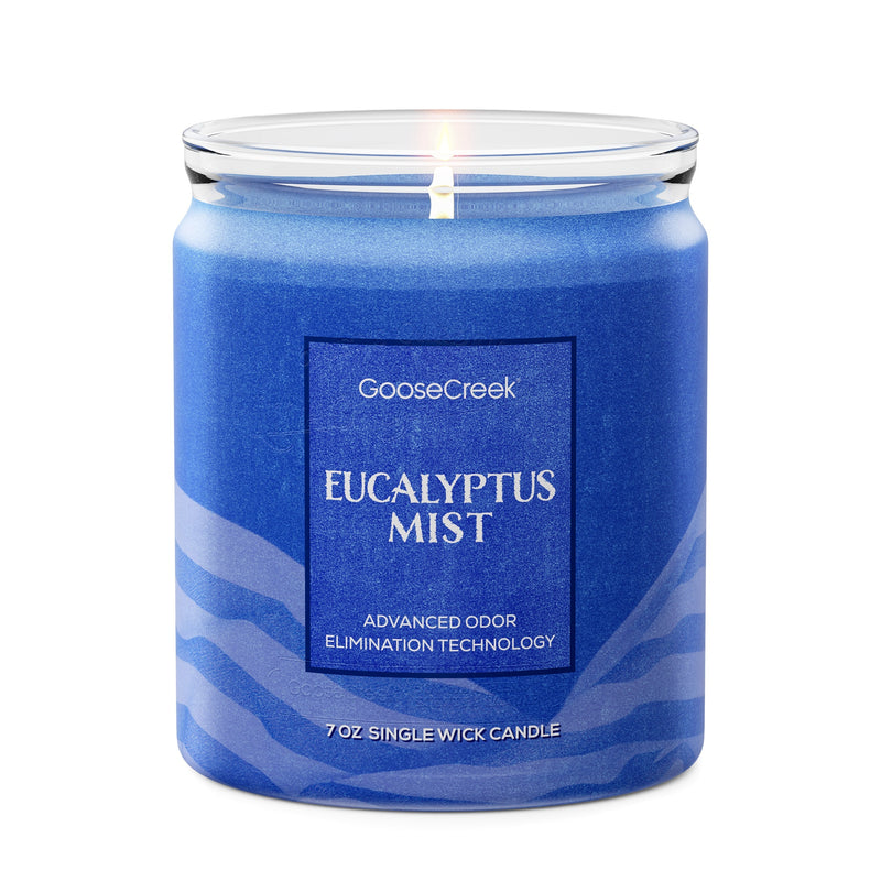 Eucalyptus Mist Odor Eliminating 7oz Single Wick Candle Daily 1-0497